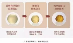 抗糖是什么意思